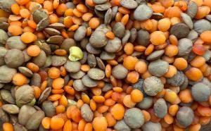 Названо найперспективніші напрями експорту органічної продукції з України