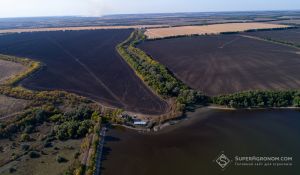 В українському агросекторі посилилася регіональна спеціалізація, викликана зокрема змінами клімату