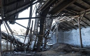 Російські атаки завдали українському агросектору понад $11 млрд прямих збитків — Висоцький