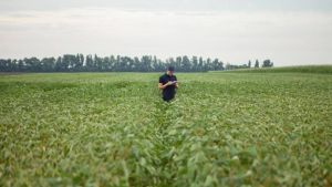 Бронювання працівників агропідприємств: планки піднято до 1000 га і 40 млн річних доходів