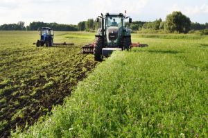 Дискування еспарцету в півтора проходи