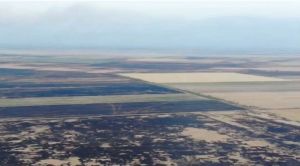 Згорілі поля на Херсонщині