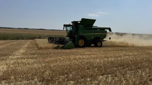 На Кіровоградщини стартувала збиральна кампанія в умовах дефіциту робітників
