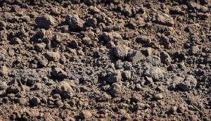 Посуха впливає також на мікробіом ґрунту: він втрачає здатність утримувати елементи живлення