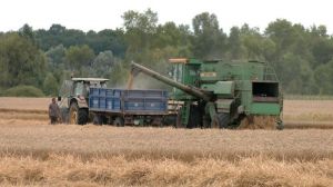 Збирання врожаю