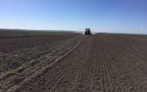Безплужний обробіток і оранка можуть доповнювати одне одного — досвід польського фермера