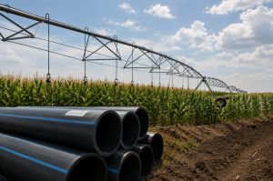 Ринок зрошення знову зростає: у HarvEast розповіли про свій досвід