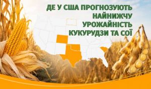 Кукурудза до 6 т/га, соя — до 1,9 т/га: де у США очікують найнижчу урожайність