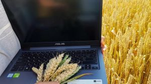Платформа E-ZERNO запустила онлайн-укладання аграрних угод від ціни до платежу