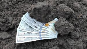 Земля в Україні подорожчала до 80,5 тис. грн/га: де ціни найвищі
