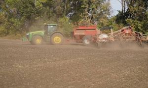 Посуха на Дніпропетровщині: в орному шарі під озимою пшеницею близько 30% необхідної вологи