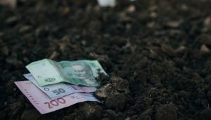 До 1000 грн/га на вітчизняні добрива: з 1 жовтня стартує прийом заявок на отримання бюджетної субсидії