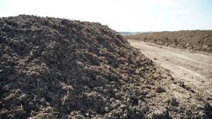 Азот в органічних добривах: як визначити норму внесення гною пояснили фахівці