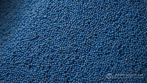 Як змінюється вибір культур і гібридів, та що сіяти у 2026 році, розповіли в Насіннєвій асоціації