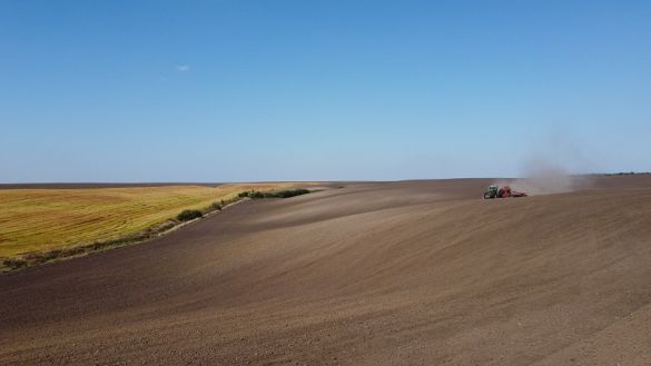 Посівна 2026 ярих культур в Україні: ярим ячменем засіяли вже більше 86 тис. га