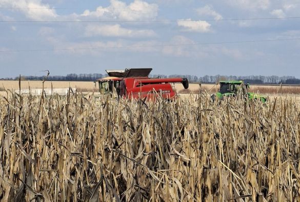 Збирання кукурудзи 27 березня на Київщині
