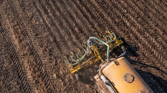 Аграрій розповів, як проходить посівна 2026 в Запорізькій області: антидронові рушниці, незібрані овочі та ціни на добрива