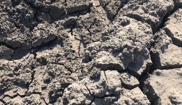 В Мінекономіки розповіли, як працюватиме механізм визначення зон ризикованого землеробства