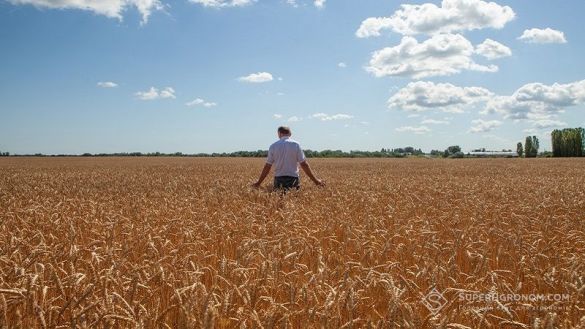 Зарплати в сільському господарстві зростають: лідирують агрономи та механізатори