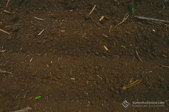 Мінеральне добриво