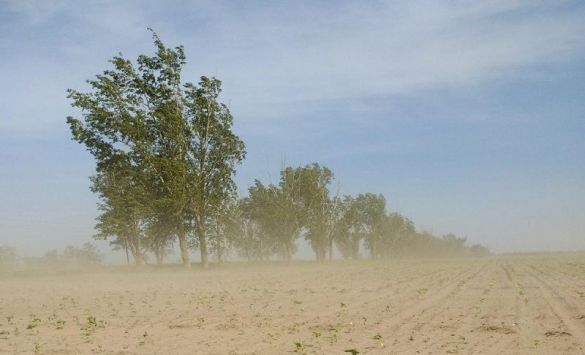Аграріям розповіли, як Ель-Ніньйо, що може повернутися, вплине на український агросектор