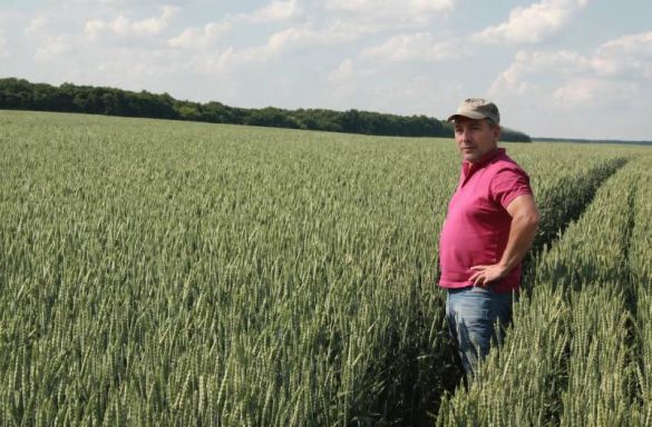 Зарплати агрономів та інженерів в агрохолдингах зросли на 10–20%