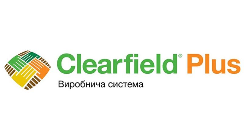Впровадження нової виробничої системи Clearfield® Plus для соняшнику BASF розпочне з України