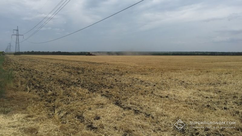 У Київській області зібрали більше 3 млн тонн зернових та зернобобових культур