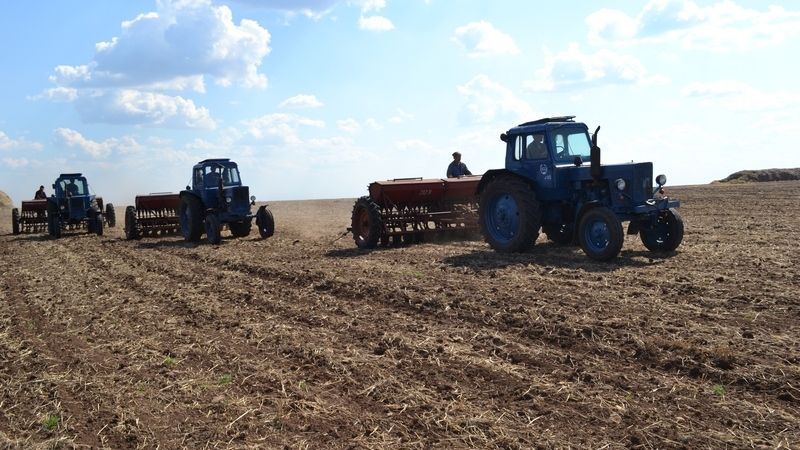 У південних областях України в другій декаді серпня спостерігалася ґрунтова посуха — Укргідрометеоцентр