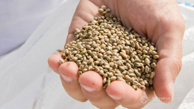 В Криму після анексії процвітає торгівля контрафактним насінням