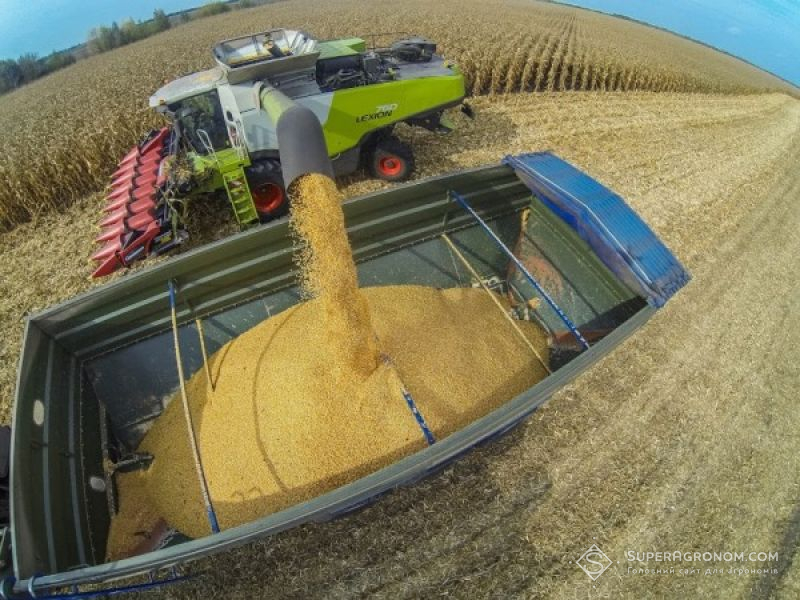 На Вінничині валовий збір зерна на 40% перевищить минулорічний