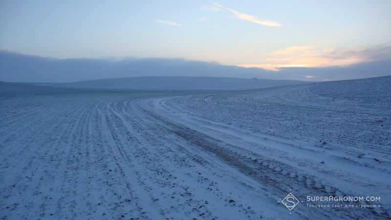 На окремих полях Сумської та Харківської областей зберігається льодова кірка