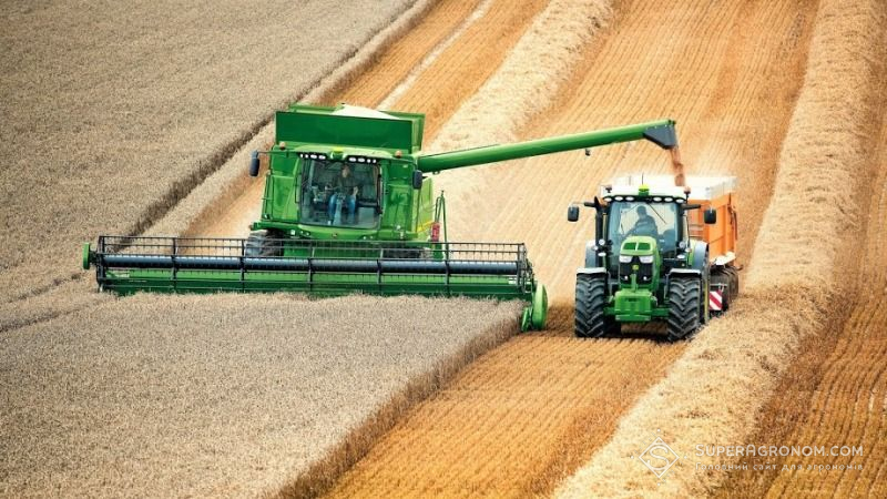 Площа під твердою пшеницею в Україні має становити не менше 300 тис. га