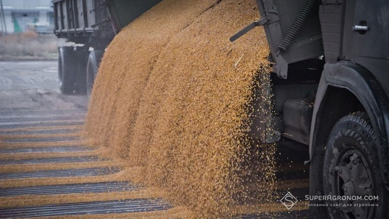 На Донеччині виробництво зернових зросло більш ніж на 16%