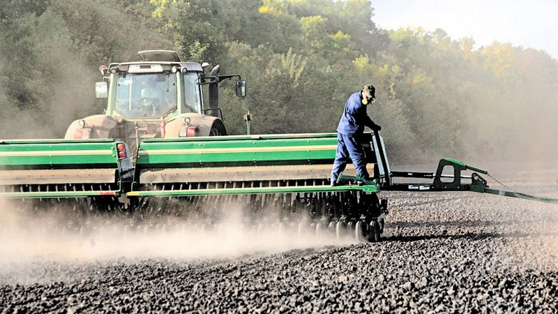 В Україні озимими зерновими засіяно майже 7 млн га