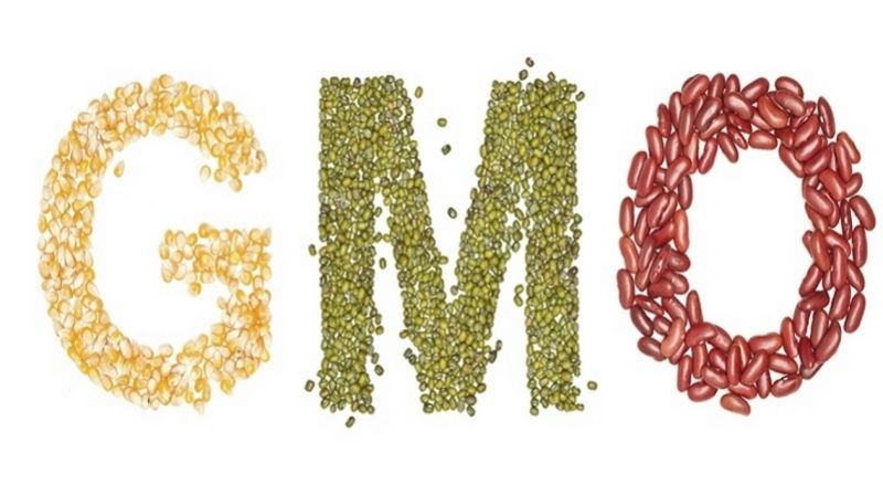 В Україні вирощувати ГМО не лише заборонено, але і нерентабельно