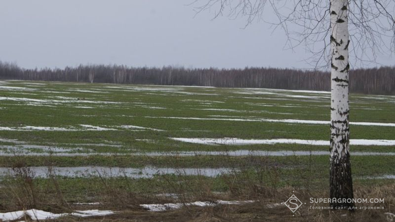 Під загрозою підтоплення поля на Західній Україні