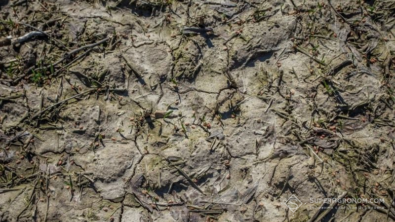 Вінницькі агрономи говорять про підтоплення полів понад рікою Згар