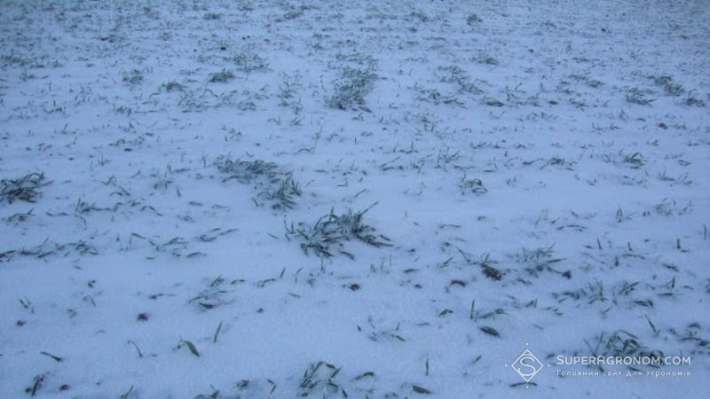 Серед квітня поля в багатьох областях знову вкриті товстим шаром снігу