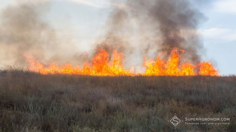 Чернігівського агровиробника оштрафували за спалювання сухої трави
