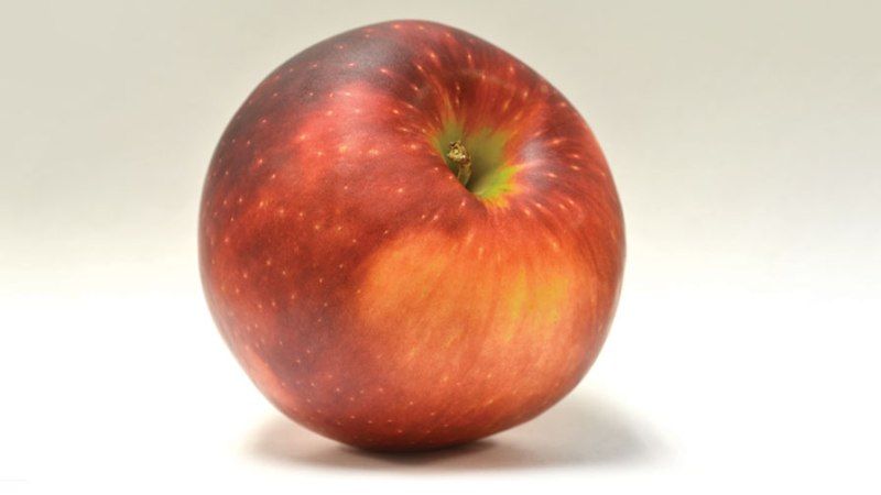 Вибуховий хруст та космічна зовнішність — в США роблять ставку на новий сорт яблук