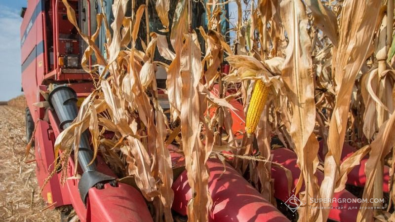 На Одещині урожай зернових зменшиться на 1,2 млн тонн
