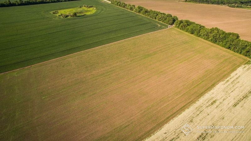 В Україні створять інтерактивну карту фітосанітарного стану полів