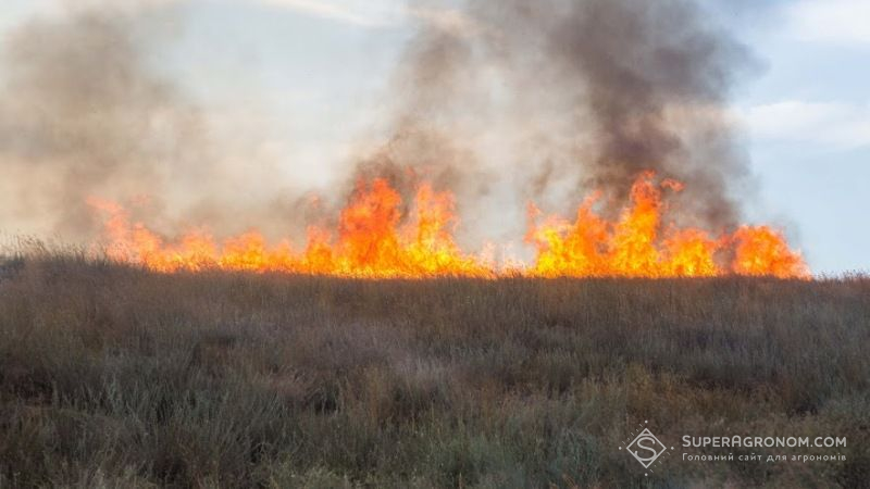 На Дніпропетровщині вогонь ледь не знищив урожай