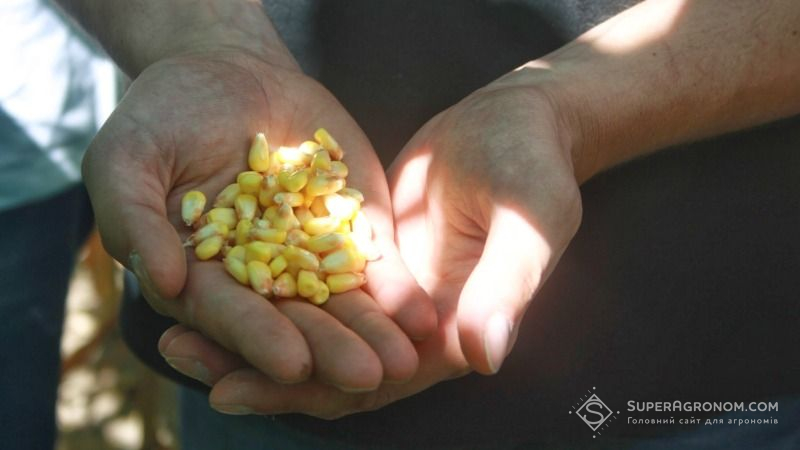 У 2018 році Monsanto відкриє насіннєвий завод на Житомирщині