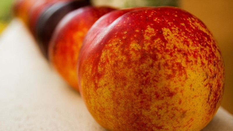 На Закарпатті очікують 70% недобору врожаю абрикосів, персиків та нектарин