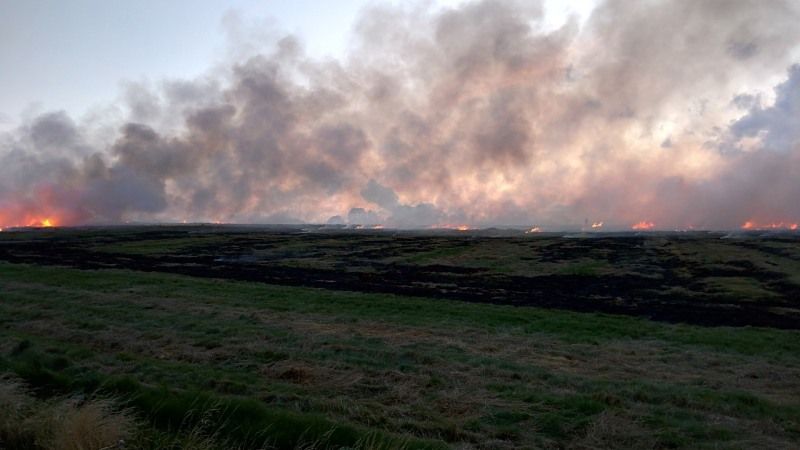 Пожежа у Херсонській області знищила 4 га посівів пшениці