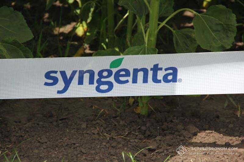 Аграрії вже не згодні переплачувати за бренд Syngenta