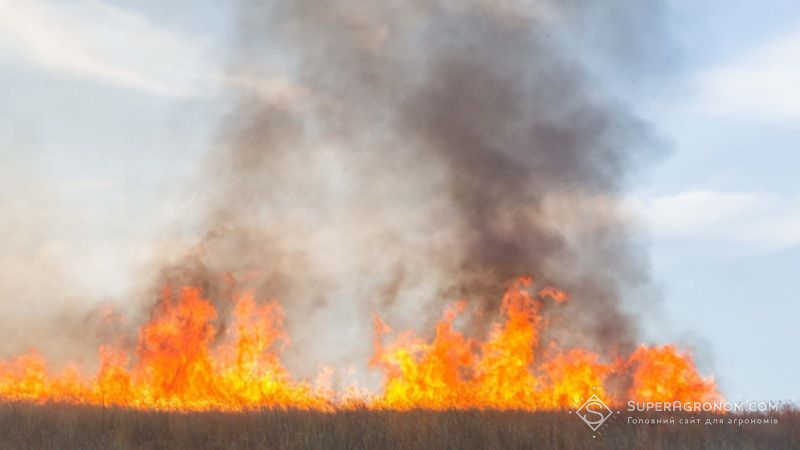 Через ворожі обстріли на Донбасі горять пшеничні поля