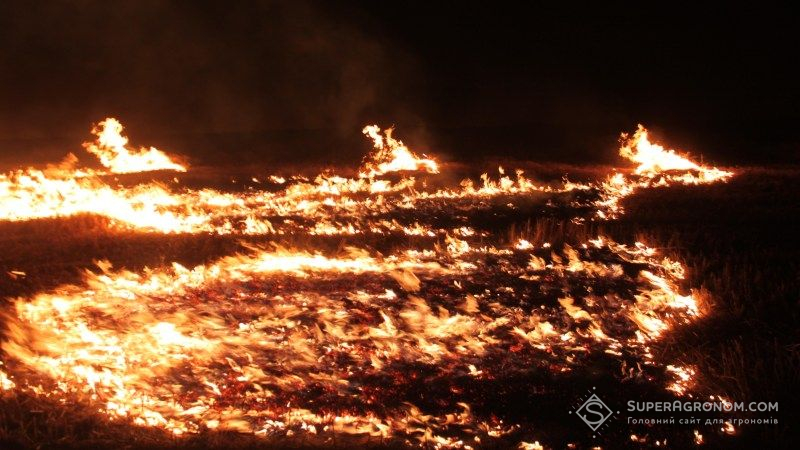 Жнива зернових в Україні супроводжуються масовими пожежами на поях